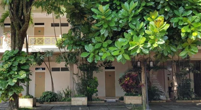 Hotel Sulawesi Jembel Extérieur photo